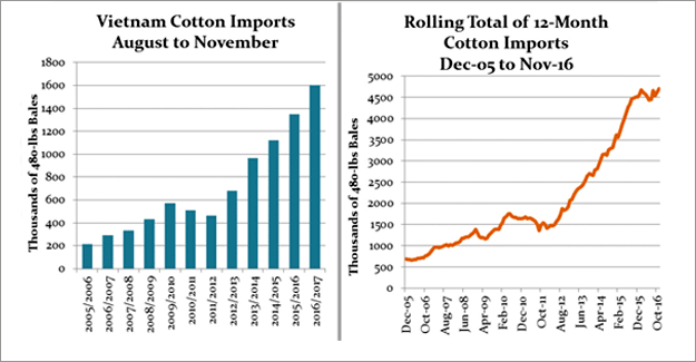 Vietnam's Cotton Imports Reflect A Growing Spinning Sector