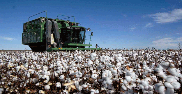 Delegation Hard Sells Strengths Of Australian Cotton To Indian Spinning Mill Owners