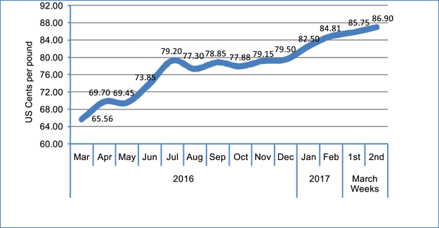 Cotton Prices Continue To Remain Strong