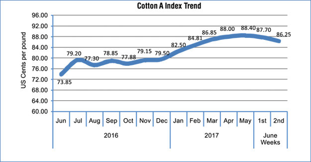 Cotton Prices, Both Domestic And Global To Stay Strong