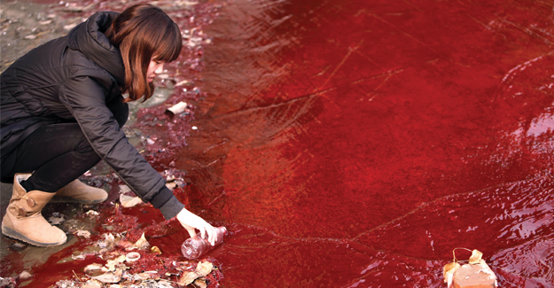 Aquatic &amp; Flowering Plants Can Break Down Harmful Effluents From Textile Dye Industry