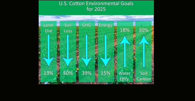 The US Cotton Industry Is Increasingly Turning Its Attention Towards Sustainability