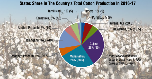 India's Cotton Production Trend