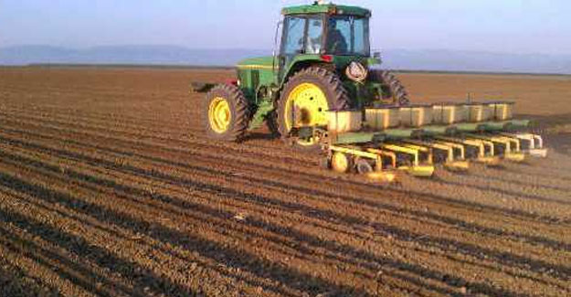 Planting Cotton Under Film - How It Performed In 2018