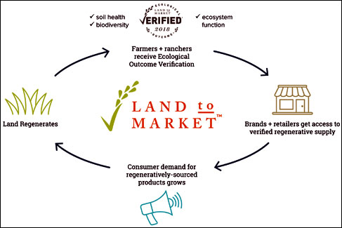 Kering To Utilise Regenerative Agriculture For Raw Materials