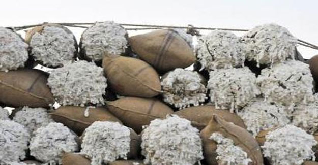 Pak Mulling Withdrawal Of All Taxes On Cotton Import