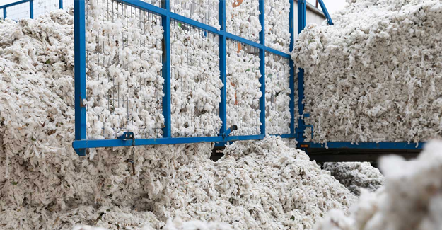 Cotton Ginners To Get Premium For Depositing Stocks With MCX